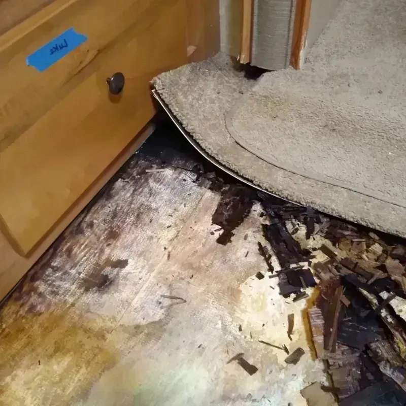 Wood Floor Water Damage in Burnett County, WI